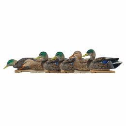 Avian-X Topflight Decoys Early Season Mallards